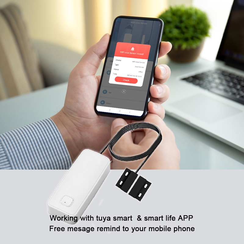 Smart Door Window Magnetic Det - đánh giá và giá Window Alarm Sensor