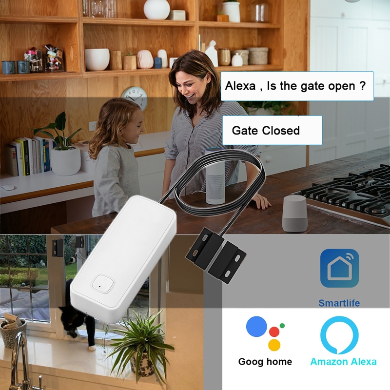 Smart Door Window Magnetic Det - đánh giá và giá Window Alarm Sensor