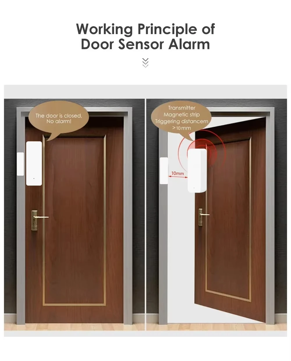Tuya Zigbee/WiFi Magnetic Door - đánh giá và giá Window Alarm Sensor